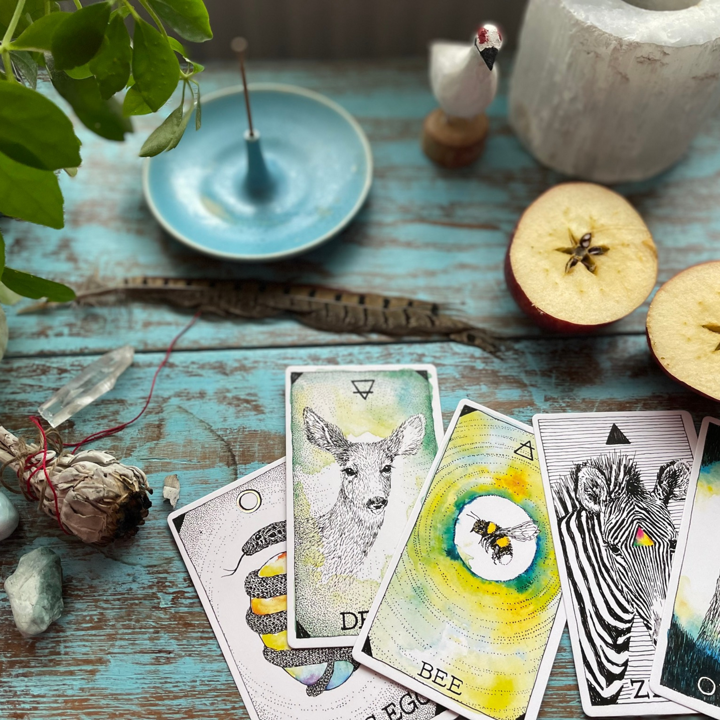 Allt um tarotspilin - námskeið í janúar 2026