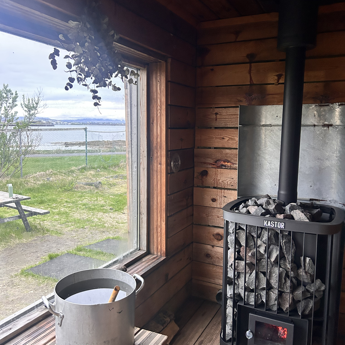 Gusu blævængir