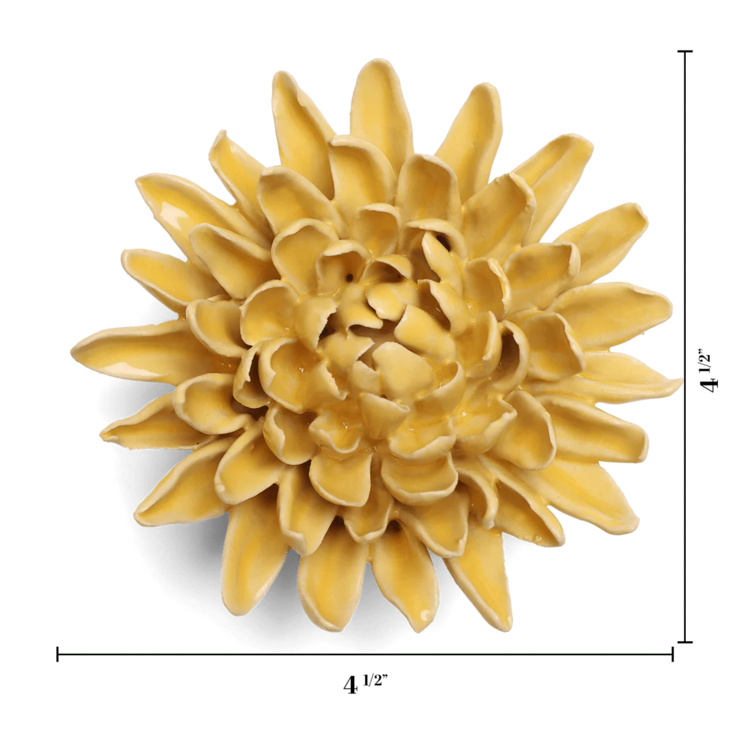 Smjörgul Krysanthemum