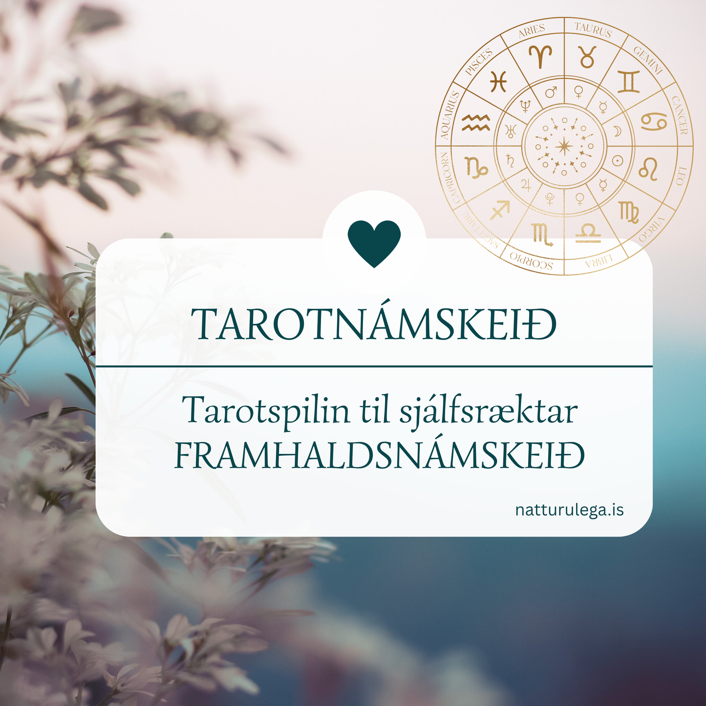 Tarotspilin til sjálfsræktar - FRAMHALDSnámskeið í apríl 2026